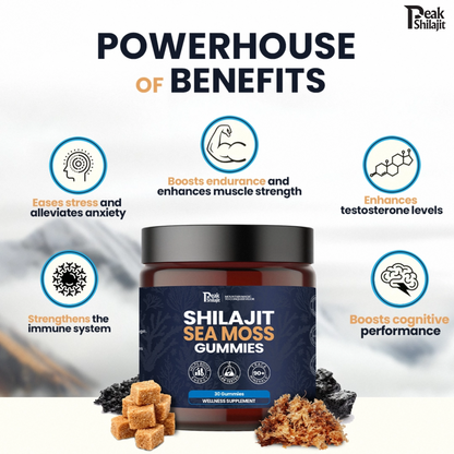 SHILAJIT & SEAMOSS 2 IN 1 WELLNESS GUMMIES