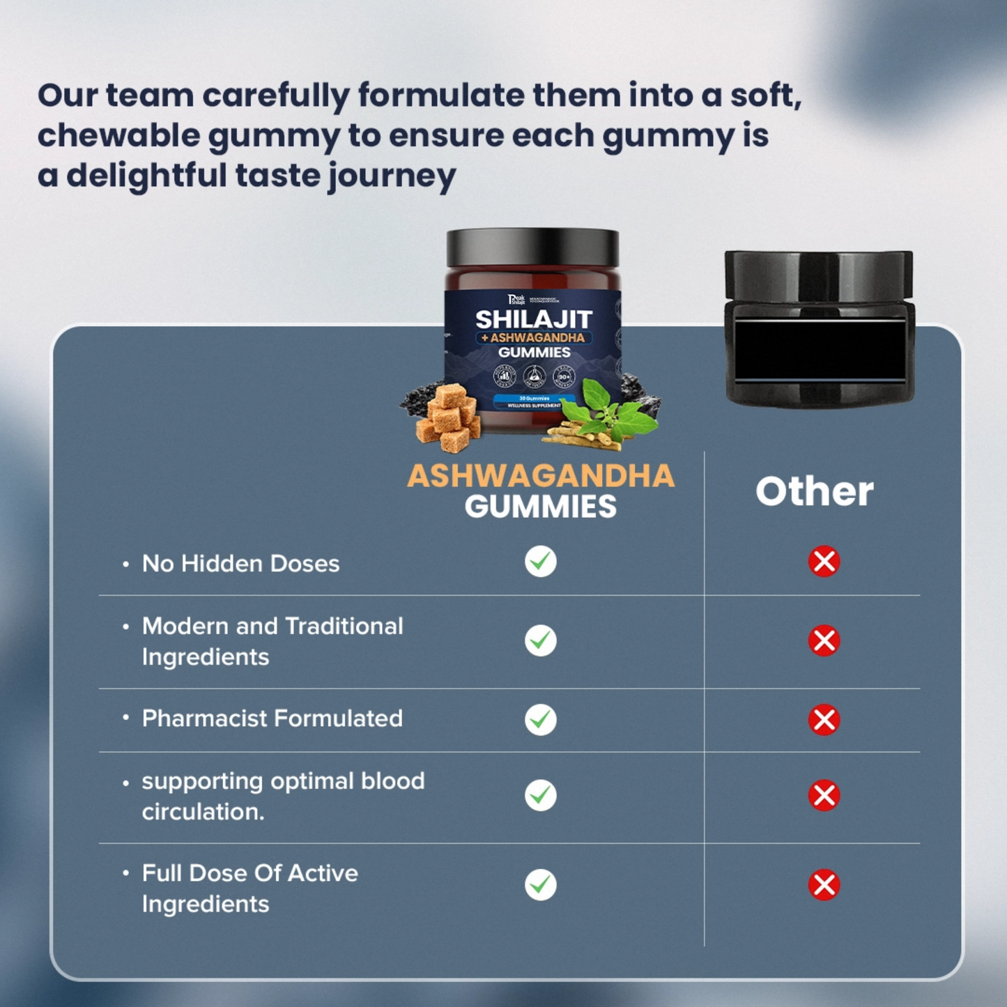 SHILAJIT & ASHWAGANDHA 2 IN 1 WELLNESS GUMMIES